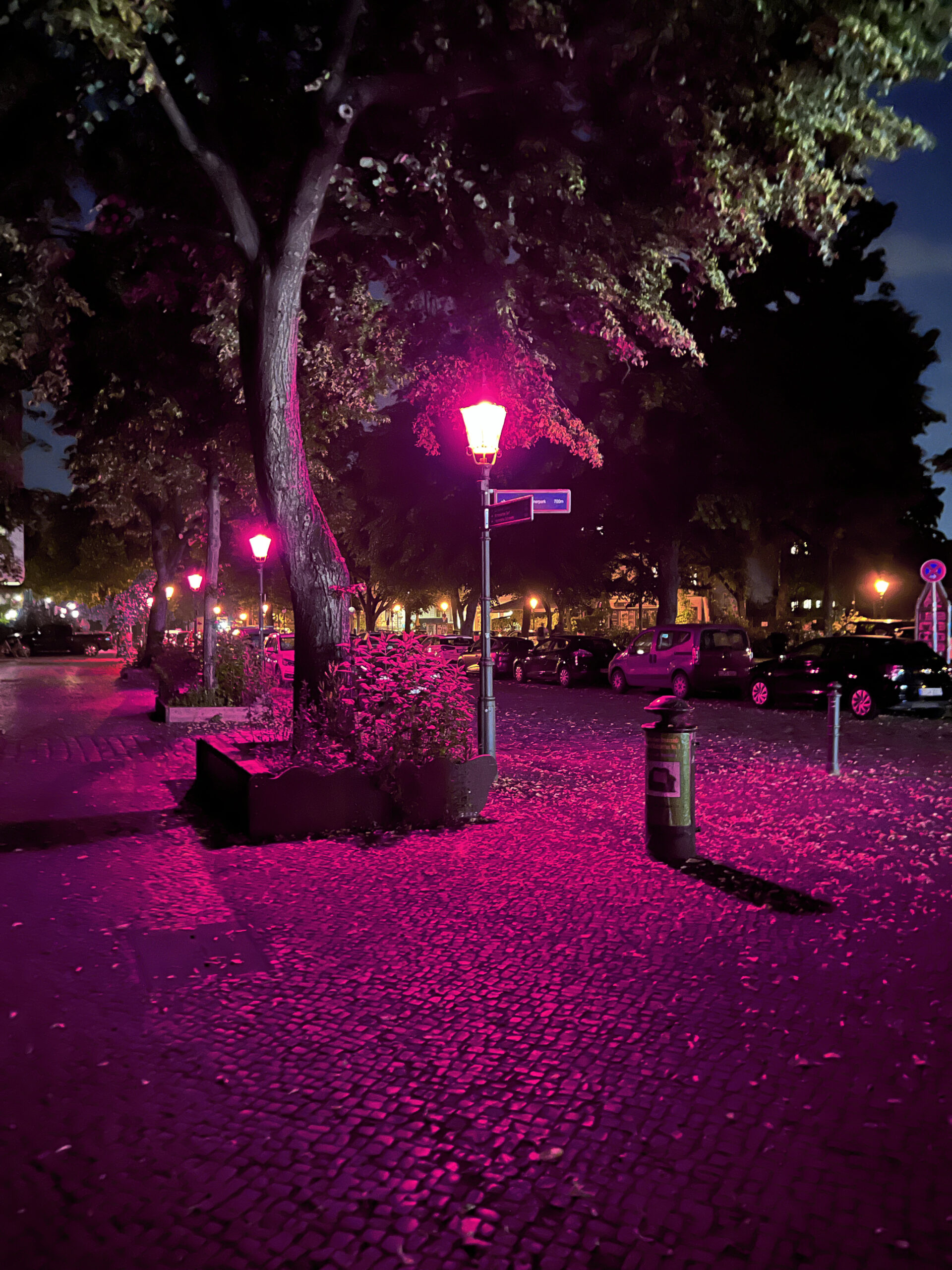 #pinkcitylightproject Isabella Chydenius Photo: Isabella Chydenius